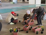 R71107hanaiku9.jpg