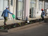 R71110saibai5.jpg