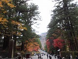 R71114ensoku13.jpg