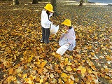R71117akisagashi2.jpg