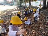 R71117akisagashi4.jpg