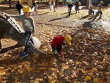 R71117akisagashi5.jpg