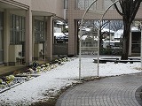 R80310yuki1.jpg