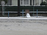 R80310yuki2.jpg