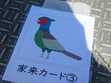 R80312tosochu6.jpg