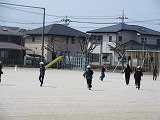 R803235.jpg