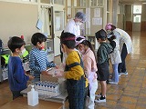 R803239.jpg