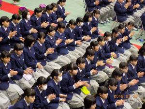 30031011.jpg
