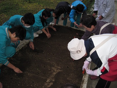 h27nankaKyukonue04.jpg̉摜