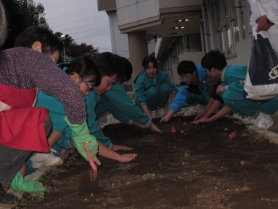 h27nankaKyukonue05.jpg̉摜