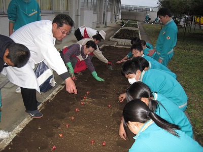 h27nankaKyukonue06.jpg̉摜