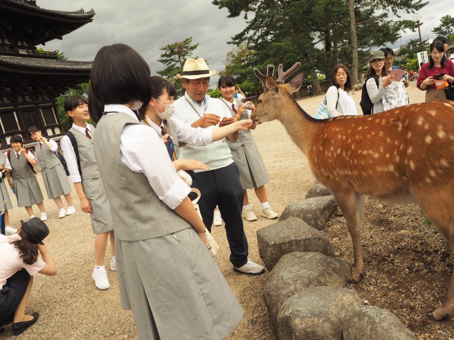 R106修学旅行01