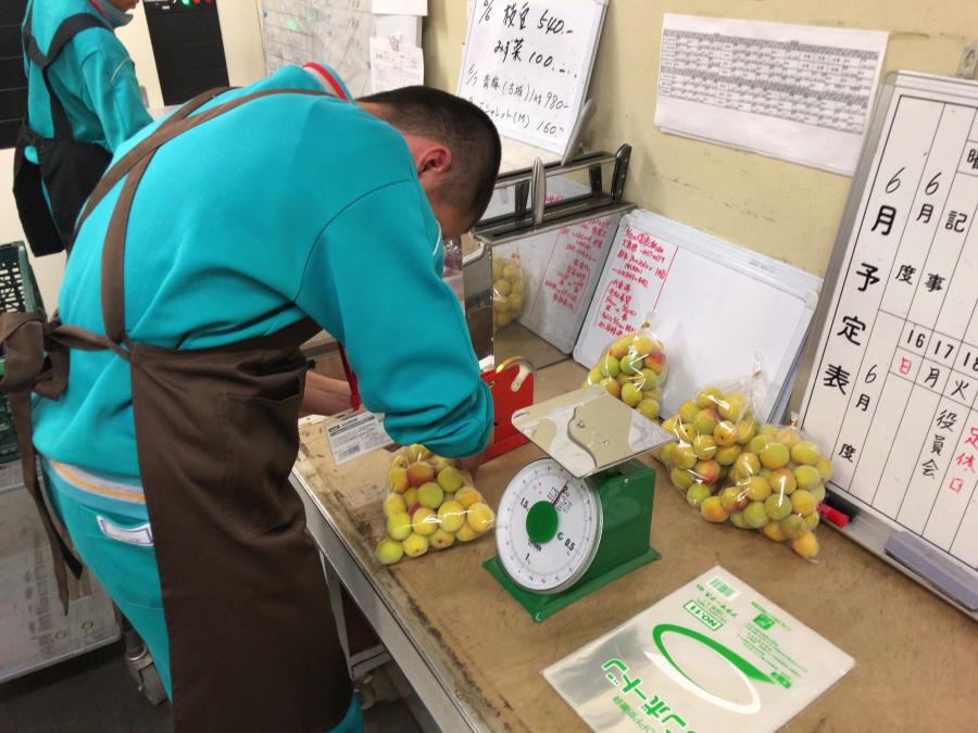 R106職場体験10