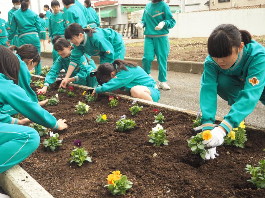 R110花植03