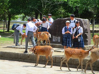 07修学旅行