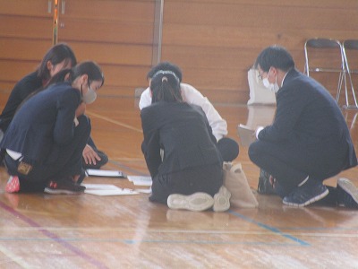 �O�V�������