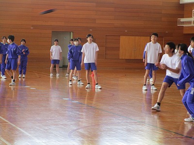 �O�V�v�c�b