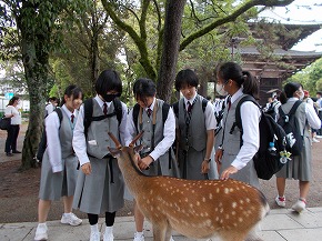 050530shuugakuryokou03.jpg